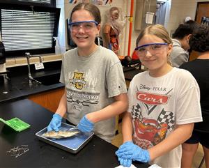 7th grade science dissection 2025 5.jpg